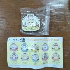 ちいかわ　くら寿司 マグネットシート2個セット　うさぎ　あのこ