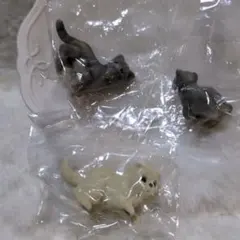 Item thumbnail for item 77fc0f57-616f-4d4d-863e-a6e0783fdffb