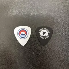 EDDIE VEDDER ピック 2枚セット 日本公演 限定 2026 EDDIE VEDDER ピック 2枚セット 日本公演 限定 2026 - メルカリ