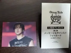 Stray Kids domiNATE Experience フォトカード