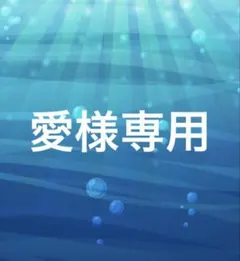 愛様専用