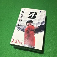 Item thumbnail for item 064c5616-b723-4a82-954d-b4be0edce175