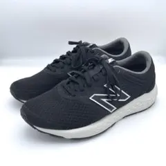 Item thumbnail for item 1e5bb222-9965-4f3a-81bc-acef1d8c556a