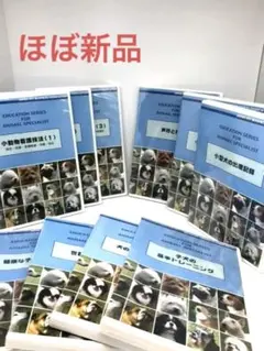 Item thumbnail for item ee552670-1926-455b-990f-b4a80b7e8edc