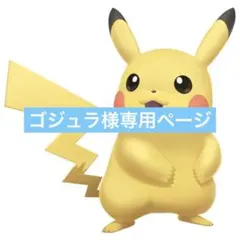 ゴジュラ様リクエストまとめ買い商品