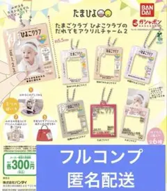 たまごクラブ ひよこクラブの だれでもアクリルチャーム2 全6種フルコンプセット