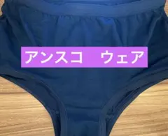 ⚠︎次回出品未定です　チア　アンスコ　ウェア