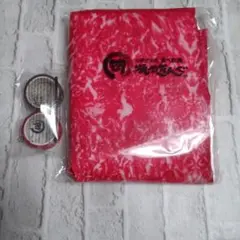 Item thumbnail for item e57270a2-da0c-4c36-9d99-c76397b42b6c