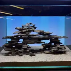MMW-7729 マシンガンウッドレイアウトセット 流木 アクアリウム | Mercari