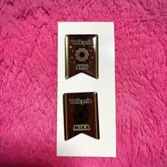 【あんスタ】Valkyrie アニメ購入特典 バッジ