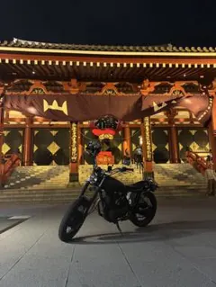 希少 SRX6 マルス管ステージⅡ SRX4 - メルカリ