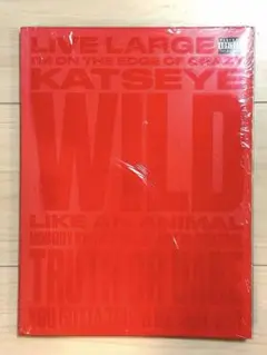 新品 KATSEYE WILD Wild heart Ver. UMストア限定盤