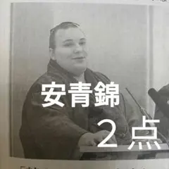 Item thumbnail for item 3c50ec2b-1d7e-4e92-a1fc-709aa9234ca2