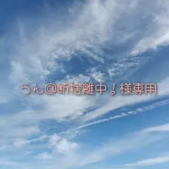 らん@断捨離中！様専用