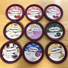 ハーゲンダッツ　蓋