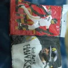 Item thumbnail for item e66d5fd4-c990-47ae-8cd6-df97ed167202