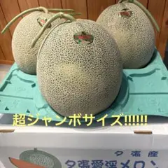 ありえない!!超超特大!!糖度15以上保証!! 夕張IKメロン3玉優品8キロ