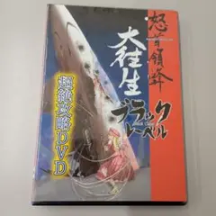 N-pro 怒首領蜂大往生 ブラックレーベル 攻略DVD 未開封 ケイブ