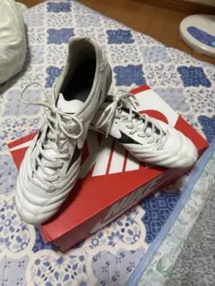 モナルシーダ ネオ