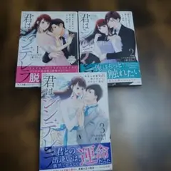 君はシンデレラ～孤高な御曹司が絶え間なく愛を注ぐ理由～【財閥御曹司シリーズ】