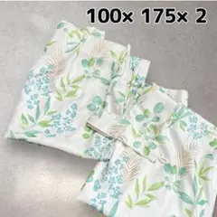 Item thumbnail for item 459ed44b-f73e-41c0-a2da-97666c6bc675