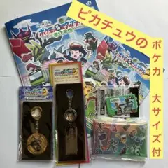 ポケモンスタンプラリー2025（全て交換済）　新品　36駅　新幹線　値引可ʘ‿ʘ