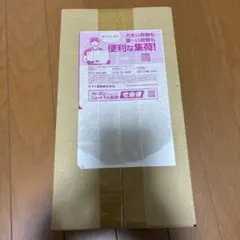 ダンボール未開封 ポケモンセンター ヒロシマ スペシャルBOX - メルカリ