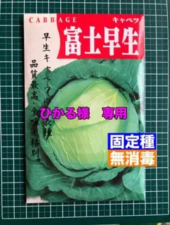 ひかる様 リクエスト 2点 おまとめ商品