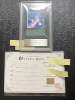 赫の聖女 カルテシア EU ネームズレエラー ARS10 鑑定書付き - メルカリ