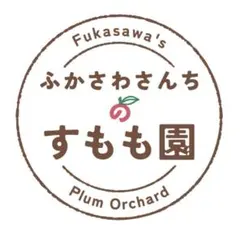 【8/23まで】RTMT様専用すもも