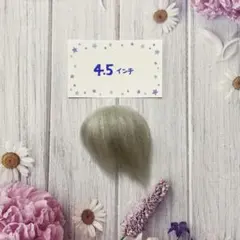 Item thumbnail for item 268a2851-1e7d-45c1-b80d-8d32df3c6f68