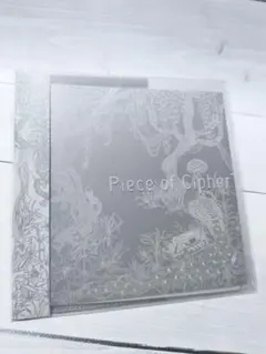 2026年最新】piece of cipherの人気アイテム - メルカリ