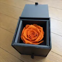 AMOROSA 赤いプリザーブドローズ ボックス入り - メルカリ