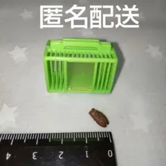 Item thumbnail for item cb8a97d7-21ed-466f-9f49-9e9a5dead9d6