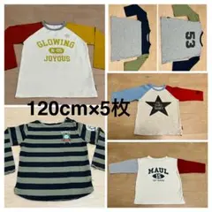 男の子 120cm ロンT 5点　まとめ売り　ベルメゾン 千趣会