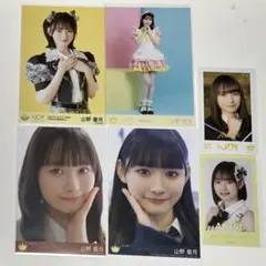 ニアジョイ 山野愛月 封入 まとめ売り - メルカリ