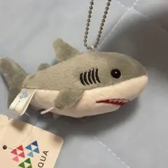 サメ　ぬいぐるみ　キーホルダー　しまね海洋館アクアス 水族館 aqua