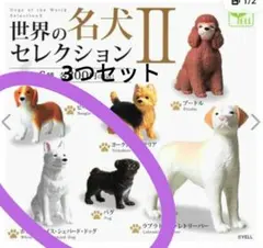 世界の名犬セレクション2 ガチャ　新品　ガチャガチャ　3つセット　即購入可能