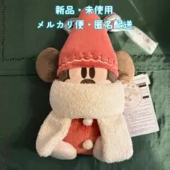 ディズニークリスマス2025 リルリンリン【ショルダーバッグ】②