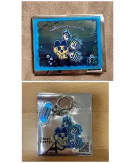 まめっち　たまごっち　えのすい アクリルキーホルダー　アクリルカード