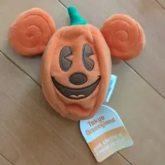 東京ディズニーランド ミッキー ポーチ