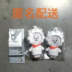 【RJ 2個】BT21 フォトフレームマスコット ガチャガチャ②