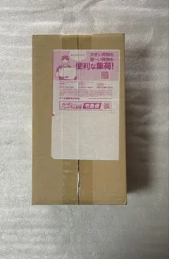 【新品/未開封】ポケモンセンター フクオカ スペシャルBOX シュリンク付