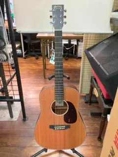 ♪超価格　マーチン　ドレッドノートジュニア　エレアコ　専用ギグバッグ付き 2025年最新】ドレッドノートジュニアの人気アイテム - メルカリ