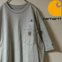 Carhartt FR（カーハート）FR ポケt カットソー/L/グレー