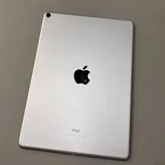 【ジャンク】Apple iPad Pro 10.5インチ 256GB ➕付属品 ☆送料無料☆ジャンク☆A1709 iPad Pro 10.5 インチ Wi-Fi + Cellular