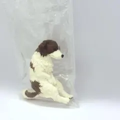 いっしょにねんね　コーイケルホンディエ