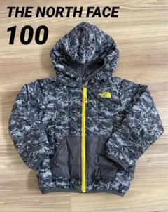【THE NORTH FACE】 用迷彩柄ダウン 100
