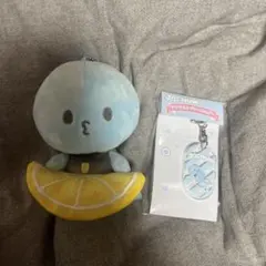 JOCHUMフルーツデザインマスコット アクリルタグキーホルダー マイクン