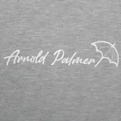 Arnold Palmer アーノルドパーマー Tシャツ グレーのサムネイル